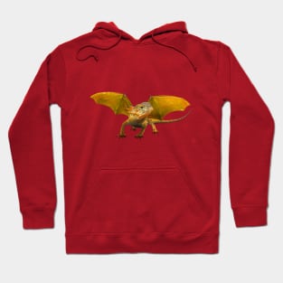 Awesome Dragon Hoodie